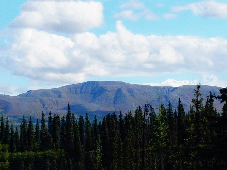 ../Images/LIN,CHIA-CHANG.Alaska Railroad (21).jpg